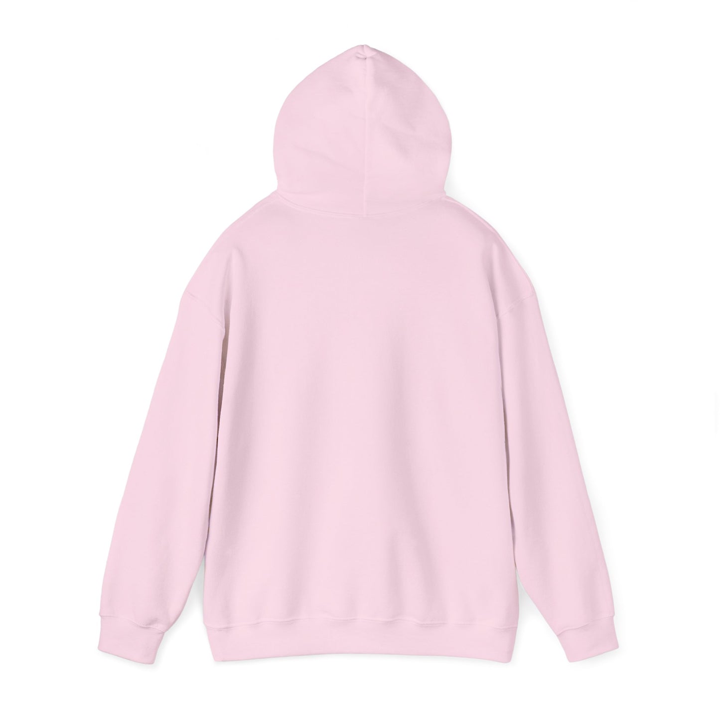 FP Icon Hoodie - Red & Pink (4 options)